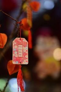 phiên bản Sodo mới nhất